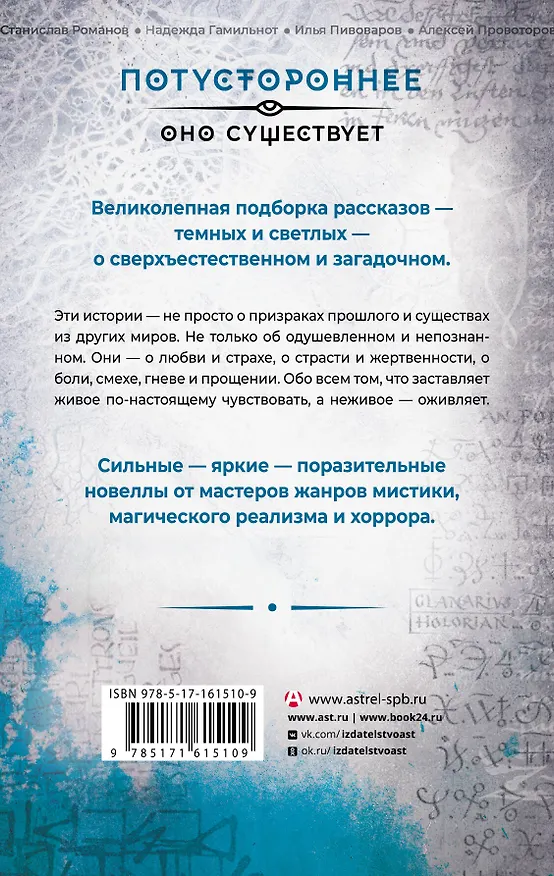 Книга Свидетель (Максим Кабир, Герман Шендеров, Елена Щетинина) — 2