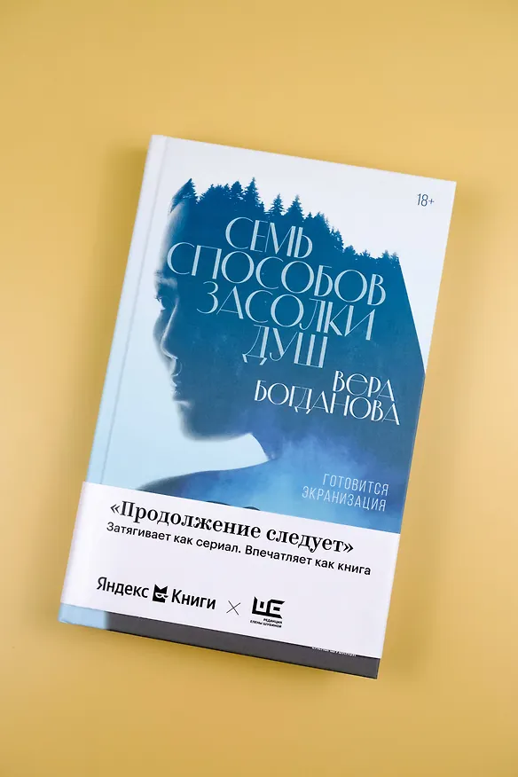 Книга Семь способов засолки душ (Вера Богданова) — 7