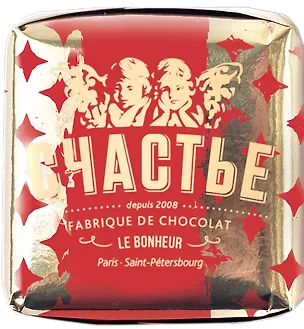Конфета пралине СЧАСТЬЕ, со специями Гарам масала, в молочном шоколаде, 50г 3125643