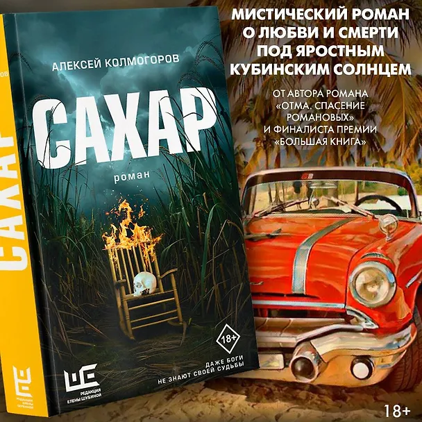 Книга Сахар (Алексей Колмогоров) — 11