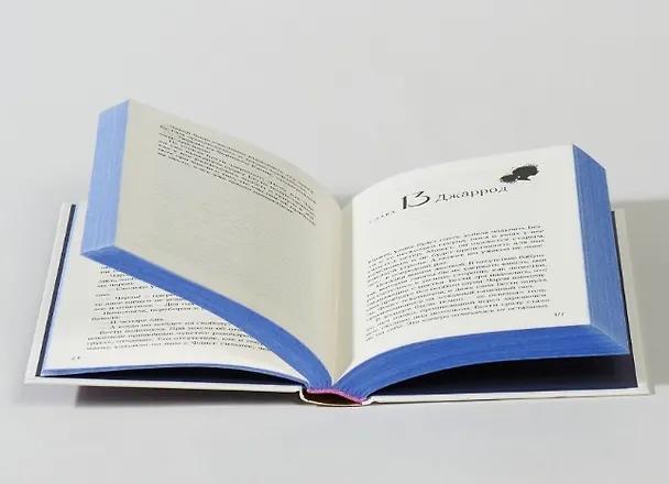 Книга Щепотка магии (Мишель Харрисон) — 5