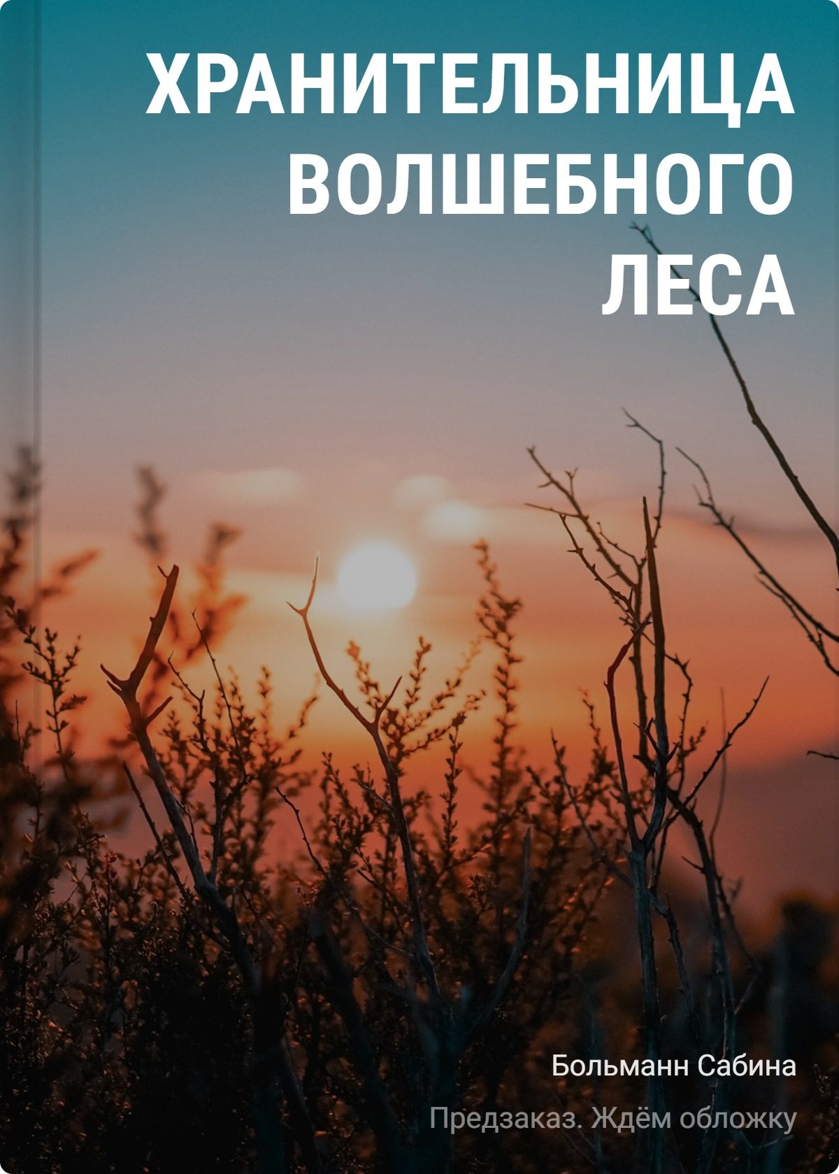 Сабина Больманн Хранительница волшебного леса