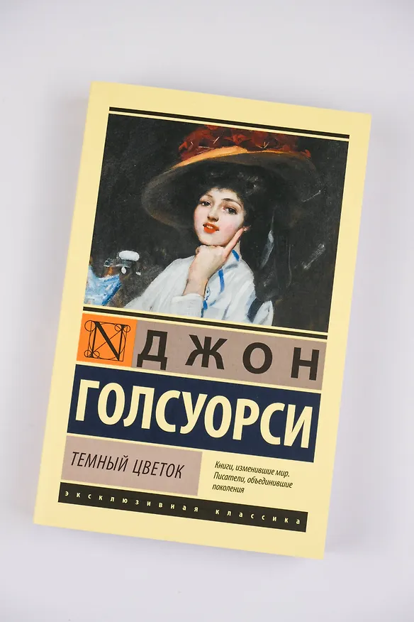 Книга Темный цветок (Джон Голсуорси) — 6