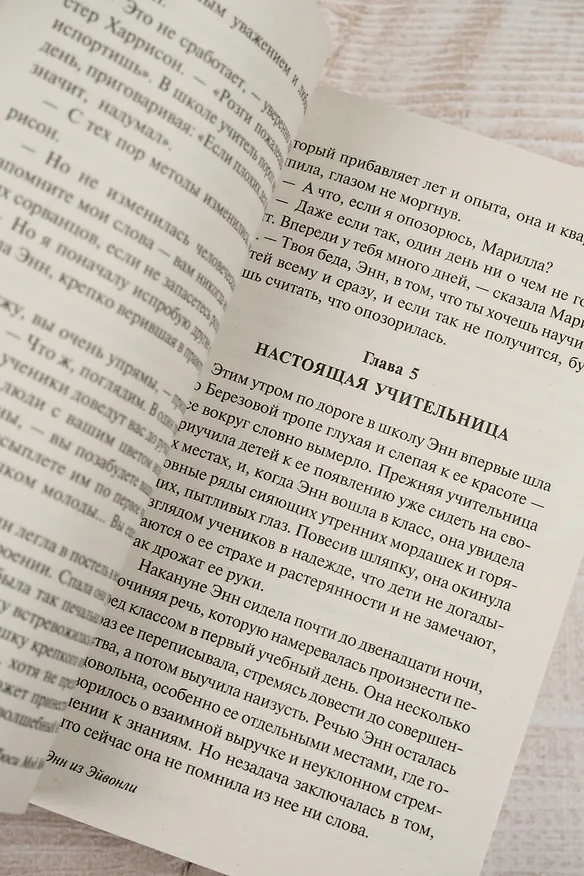 Книга Энн из Эйвонли (Люси Мод Монтгомери) — 9