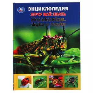 Энциклопедия с развивающими заданиями. Хочу все знать. Насекомые, жуки и пауки — 3008886 — 1