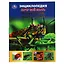 Энциклопедия с развивающими заданиями. Хочу все знать. Насекомые, жуки и пауки — 3008886 — 1