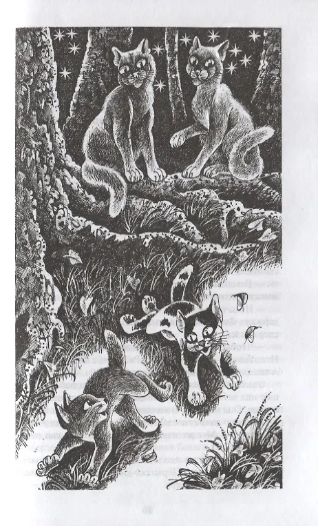 Книга Гроза и Тень (Эрин Хантер) — 2