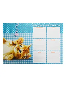Расписание уроков А4 "КОТЫ" мелов.картон, выб.Уф-лак, ассорти, Феникс