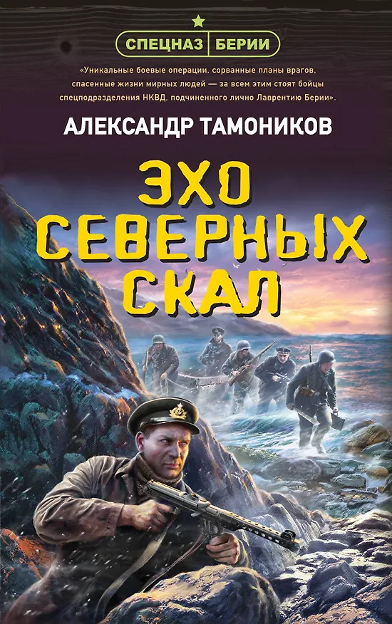 Книга Эхо северных скал (Александр Тамоников) — 1