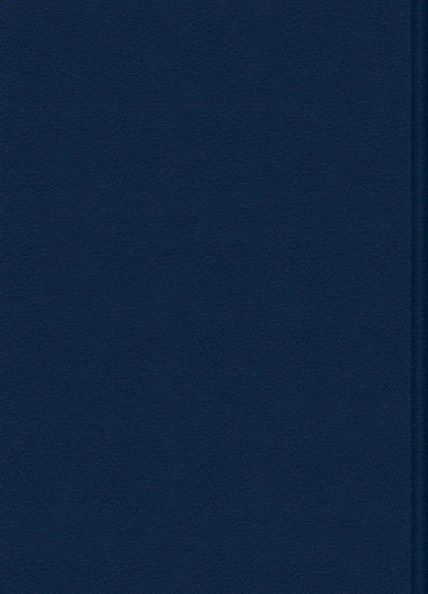 Книга Поход (Александр Розенбаум) — 2