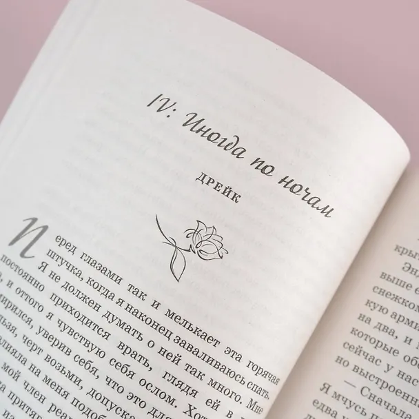Книга Случайный рыцарь (Николь Сноу) — 9