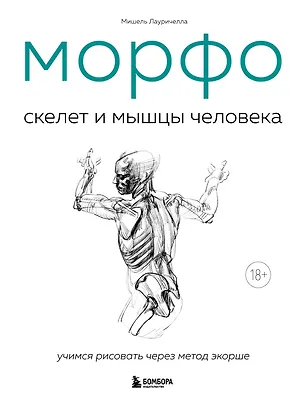 Книга МОРФО. Скелет и мышцы человека. Анатомия для художников (Мишель Лауричелла)
