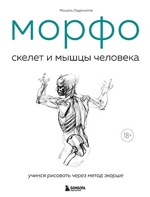 МОРФО. Скелет и мышцы человека. Анатомия для художников