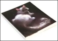 Блокнот "Китюни" Снежинка (0101132) (Еж Стайл)