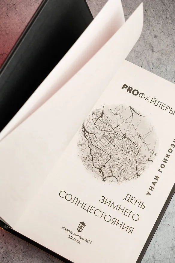 Книга День зимнего солнцестояния (Унаи Гойкоэчеа) — 12