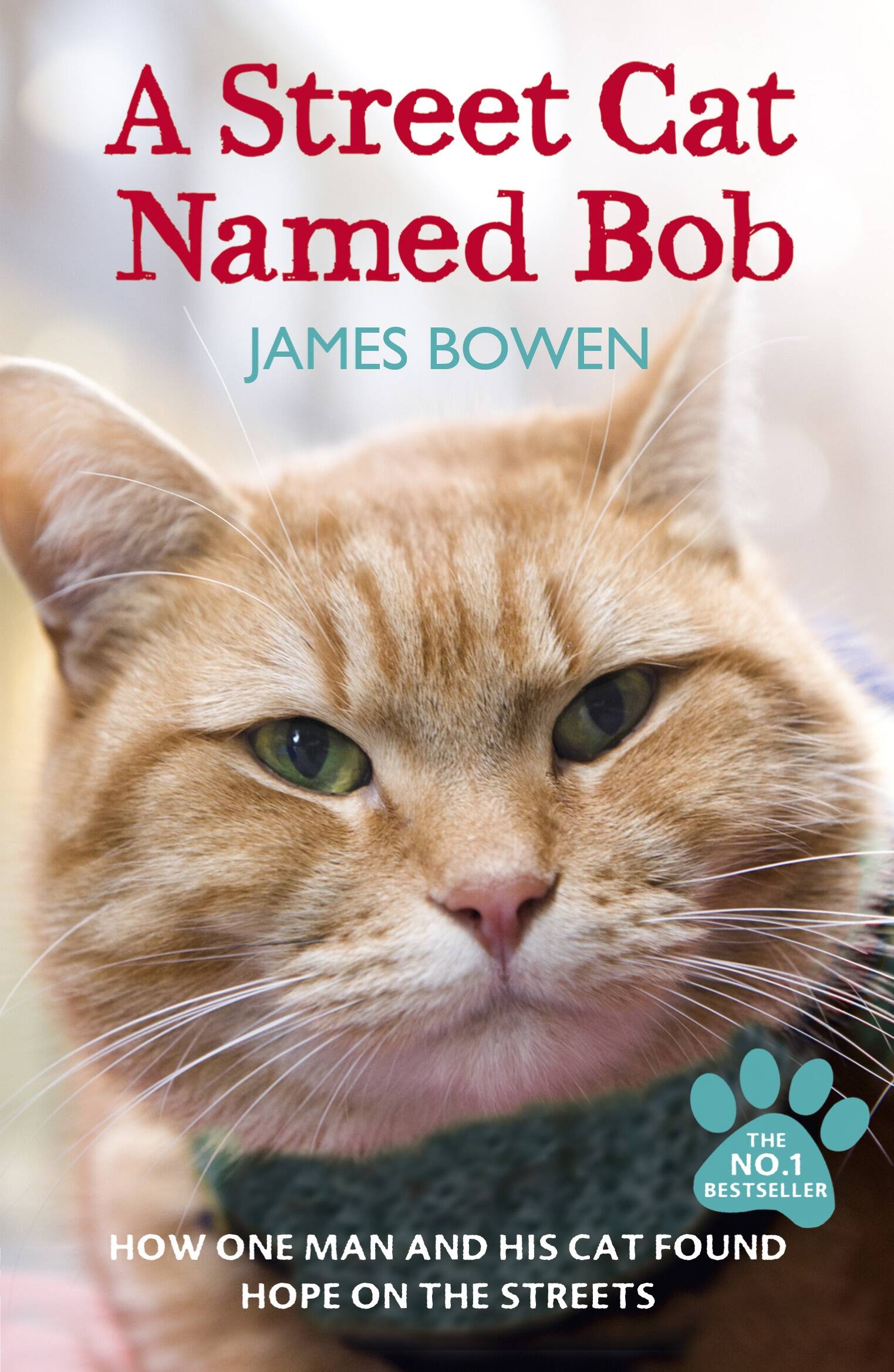 Джеймс Боуэн A Street Cat Named Bob. (James Bowen) Уличный кот по кличке Боб (Джеймс Боуэн) /Книги на английском языке