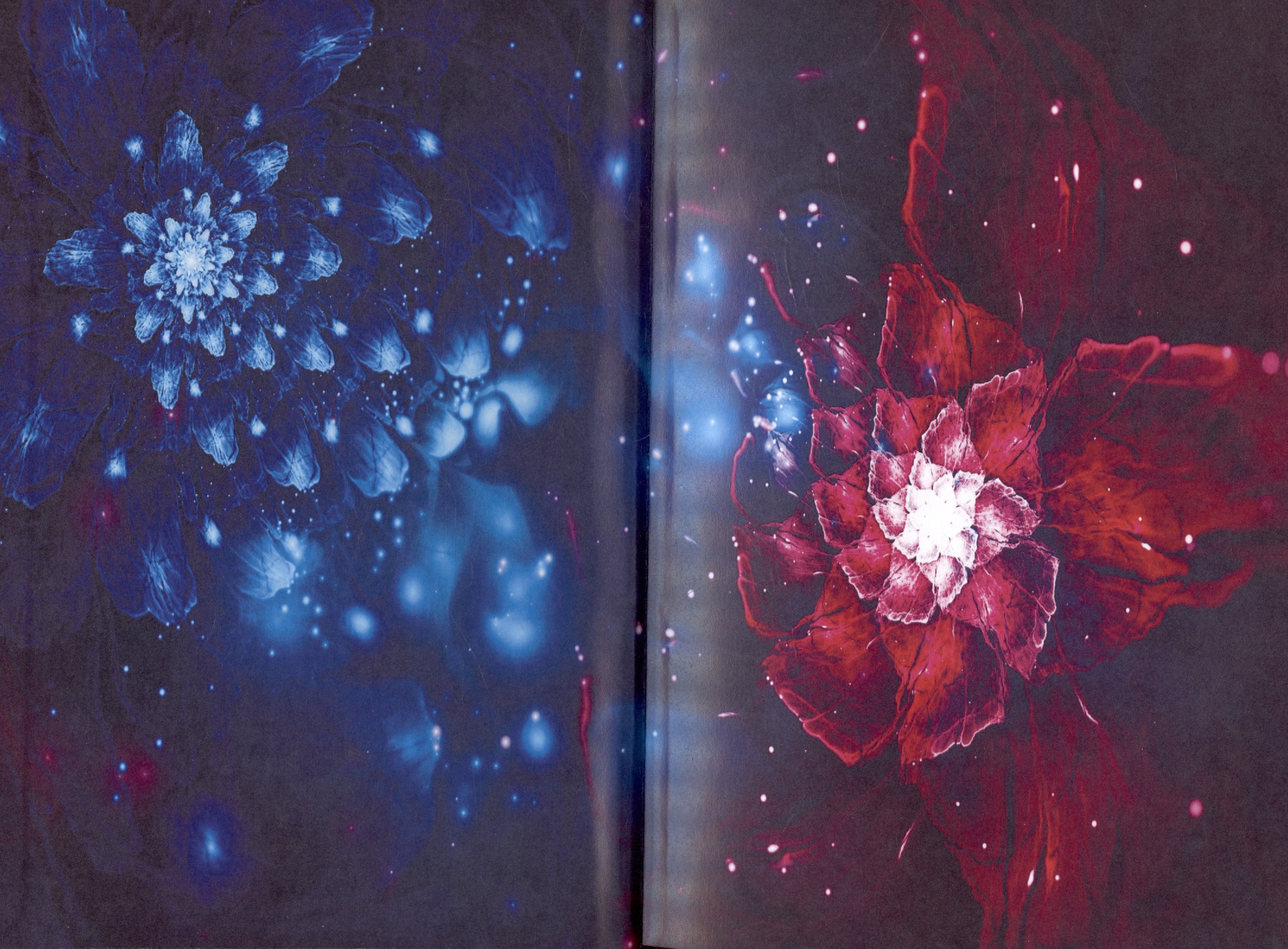 Изображение бумажной книги