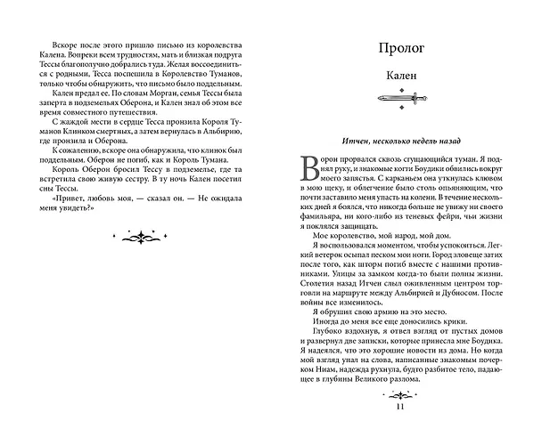 Книга Из Искр и Пепла (#2) (Дженна Вулфхарт) — 9