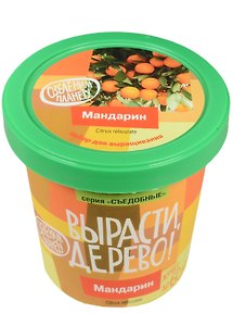 Набор для опытов и экспериментов Набор Вырасти дерево! Мандарин zk-043