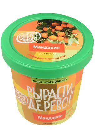 Набор для опытов и экспериментов Набор Вырасти дерево! Мандарин zk-043 2520588
