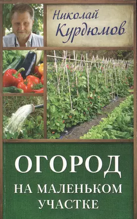 Курдюмов(ДачнаяШкола) Огород на маленьком участке — 2508065 — 1