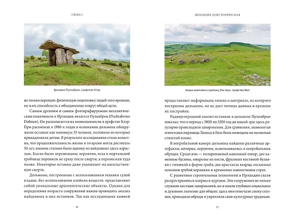 Книга Ирландская культура смерти. «Веселые поминки», духи иного мира и похитители тел (Екатерина Московскова) — 19