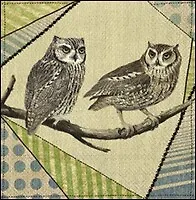 Наб. салф. для декупажа Кор. совы/Охотничья (1031130/171249) (2шт) (упаковка)