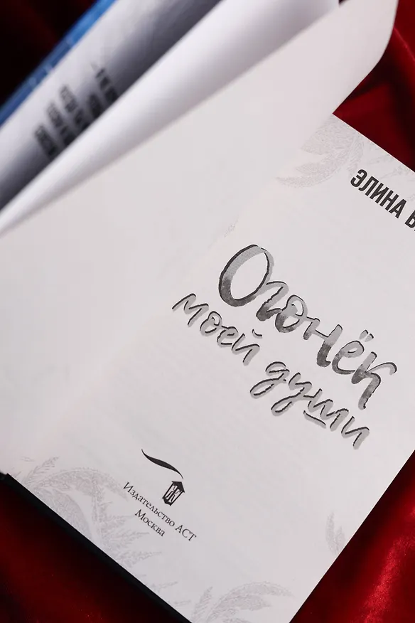 Книга Огонек моей души (Элина Бриз) — 11