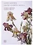 Как писать цветы. Часть II. Тайна цветка, тайна цвета. Учебно-методическое пособие — 2893705 — 1