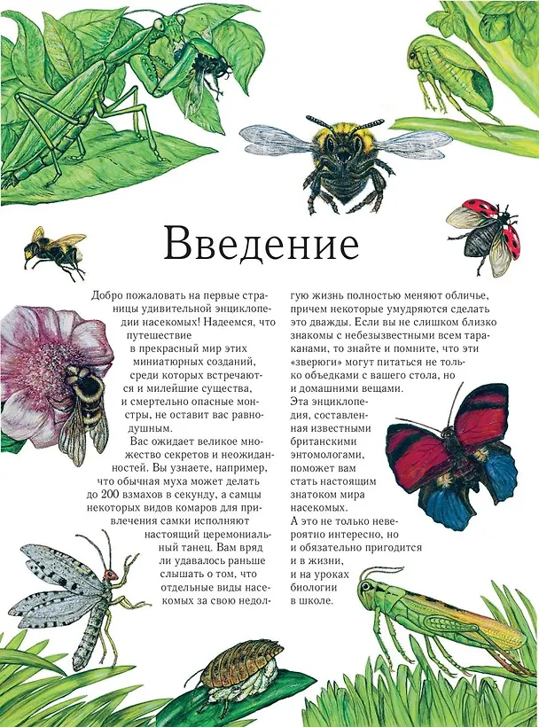 Книга Насекомые. Полная энциклопедия (мел.) (Тамара Грин) — 11