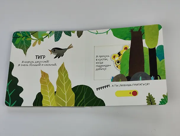 Книга Смотрим, играем, запоминаем! В зоопарке () — 12