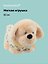 Мягкая игрушка Собачка бежевая в кофточке (21см) (12-202603-MSHN10_0960-D-642) — 3160549 — 1