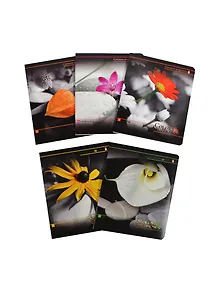 Тетрадь в клетку Альт, "Цветы и камни", 48 листов, в ассортименте