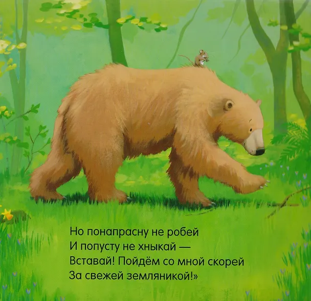 Книга Когда Медведик просыпается : поэзия, сказка (Карма Уилсон) — 5