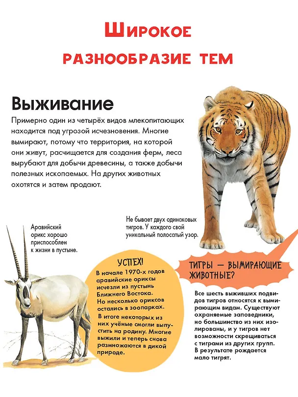 Книга Животные (Энн МакРей, Лоредана Агоста) — 6