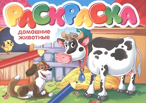 Домашние животные. Раскраска