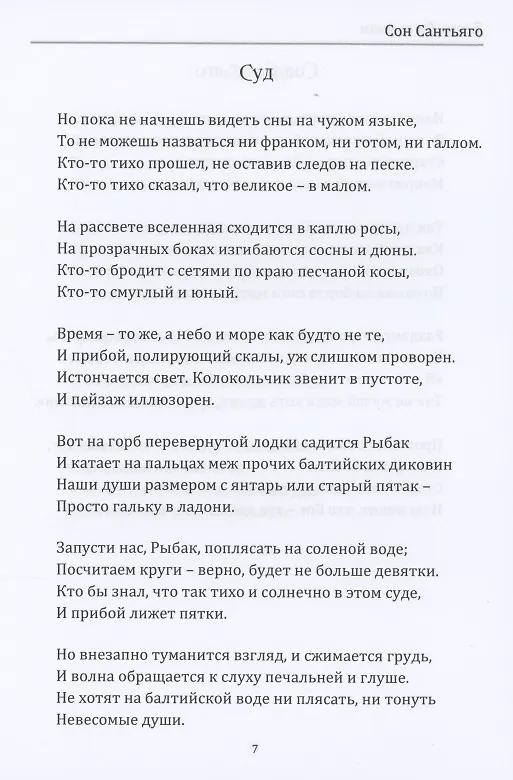Книга Сон Сантьяго (Елена Фельдман) — 7