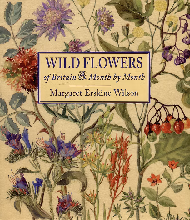 ΠΠ½ΠΈΠ³Π° Wild Flowers of Britain: Month by Month () β 1