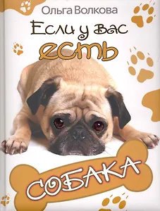 Если у вас есть собака