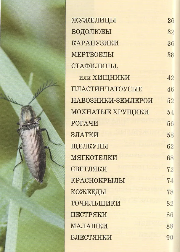 Книга Жуки: Карманный справочник () — 3