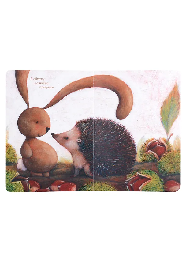 Книга Чачо в лесу (Сара Хури) — 5