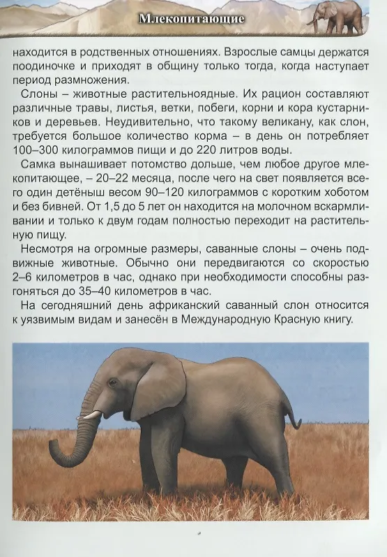 Книга Гиганты животного мира. Энциклопедия () — 7