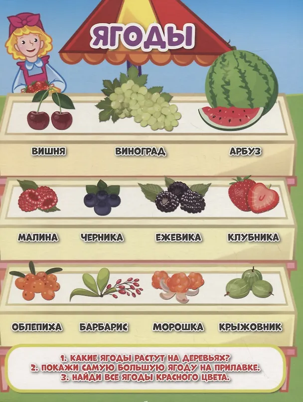 Книга Длинная книжка. Овощи, фрукты и ягоды () — 4