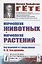 Морфология животных. Морфология растений — 2837470 — 1