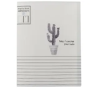 Папка с файлами «Grey cactus»