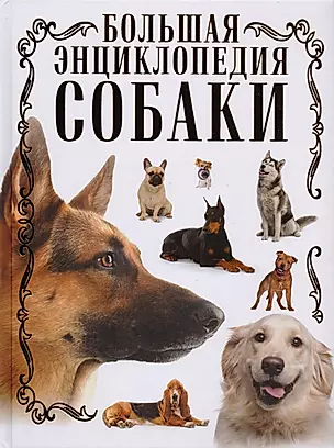 Собаки. Большая энциклопедия — 2606719 — 1