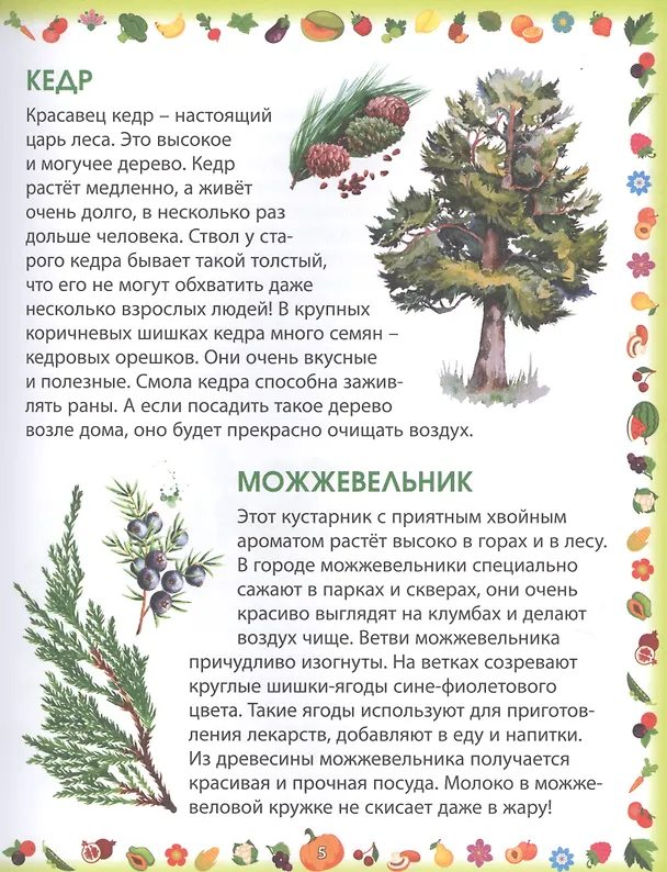 Книга Растения (Елена Гриценко) — 3