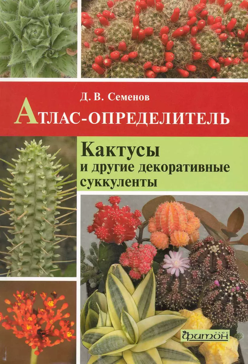 Кактусы и другие декоративные суккуленты: Атлас-определитель. - купить  книгу с доставкой в интернет-магазине «Читай-город». ISBN: 978-5-93457-312-7