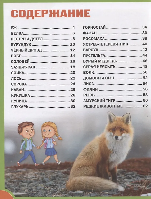 Книга Лесные животные. Энциклопедия для детей () — 2