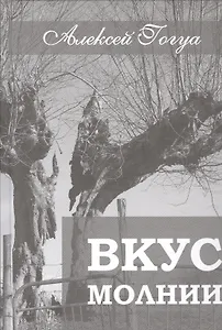 Вкус молнии. Рассказы